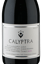 Calyptra Gran Reserva D.O. Alto Cachapoal Valley Pinot Noir 2014