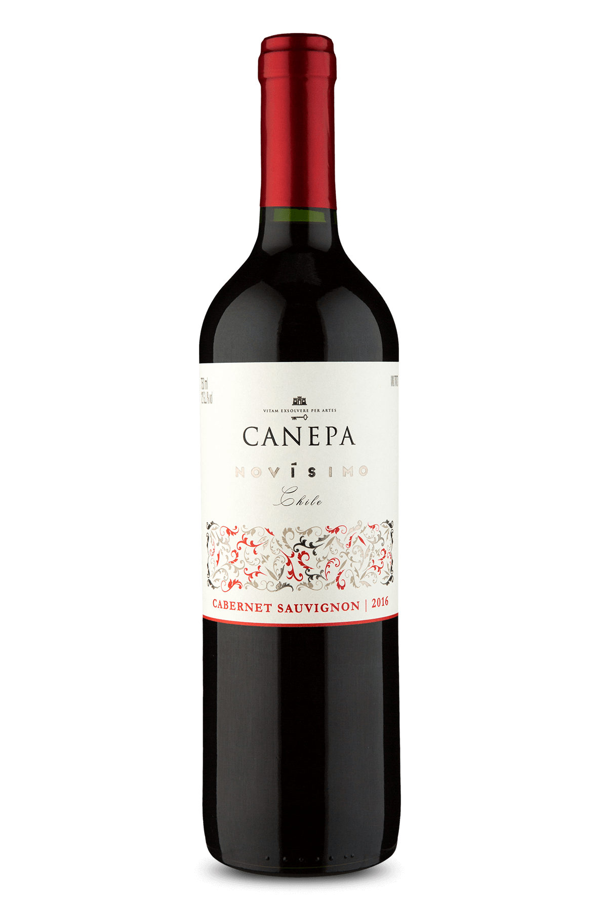 Canepa Novísimo Cabernet Sauvignon 2016 - Wine | Wine