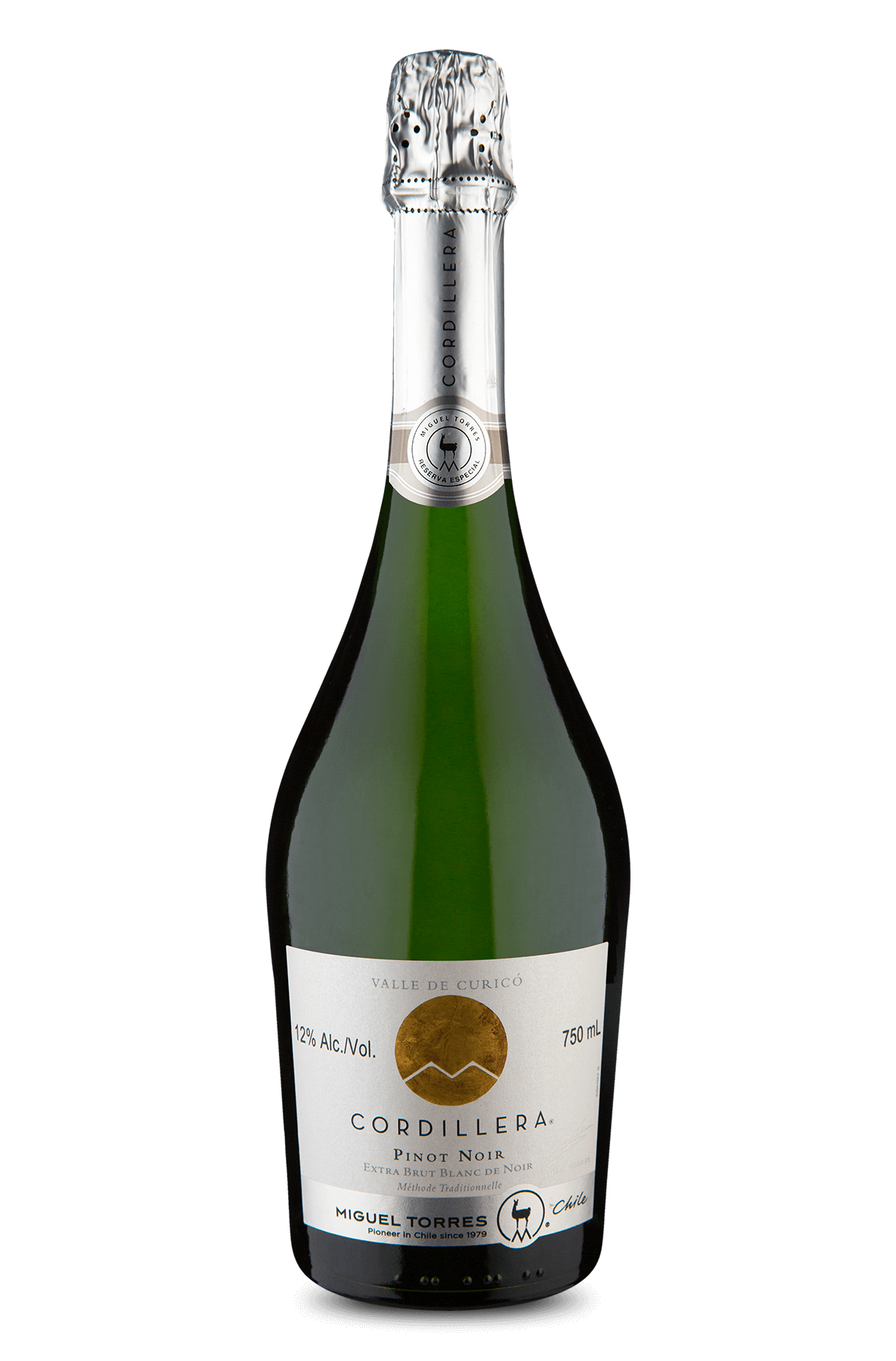 Espumante Miguel Torres Cordillera Pinot Noir Extra Brut - Wine | Wine