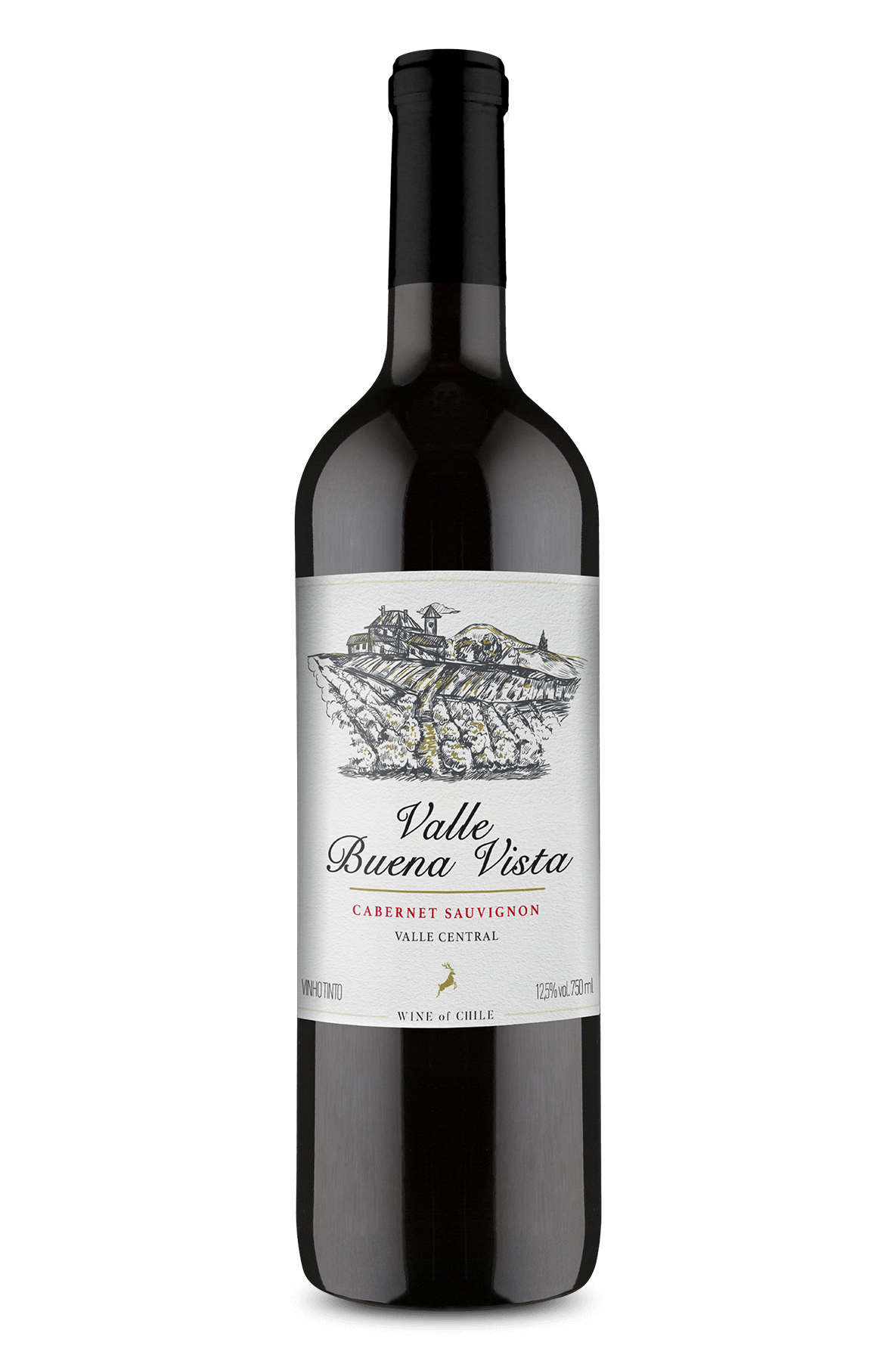 Valle Buena Vista Sauvignon 2021 Wine Wine