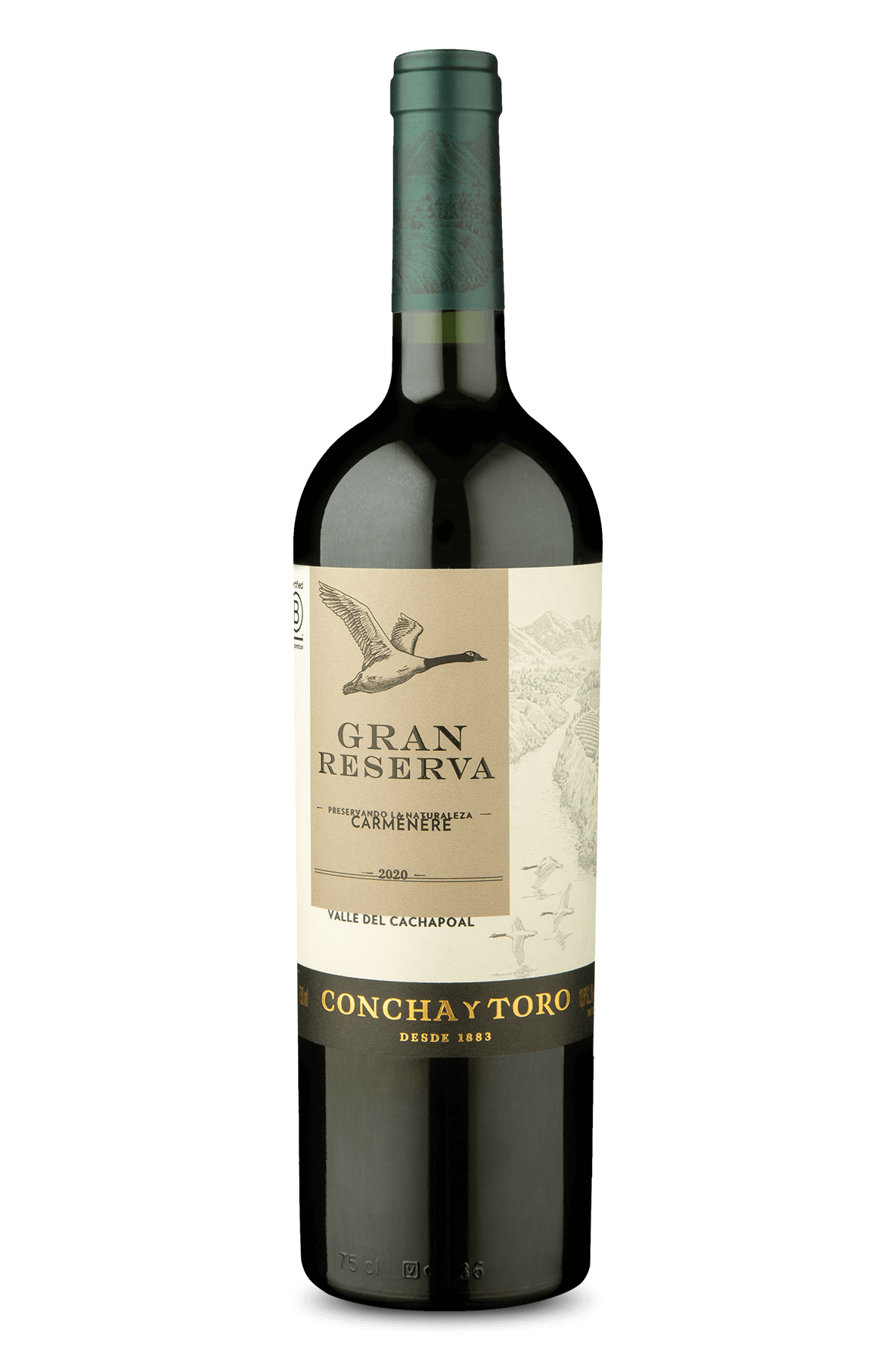 Concha y Toro Gran Reserva Carménère 2020 Wine Wine