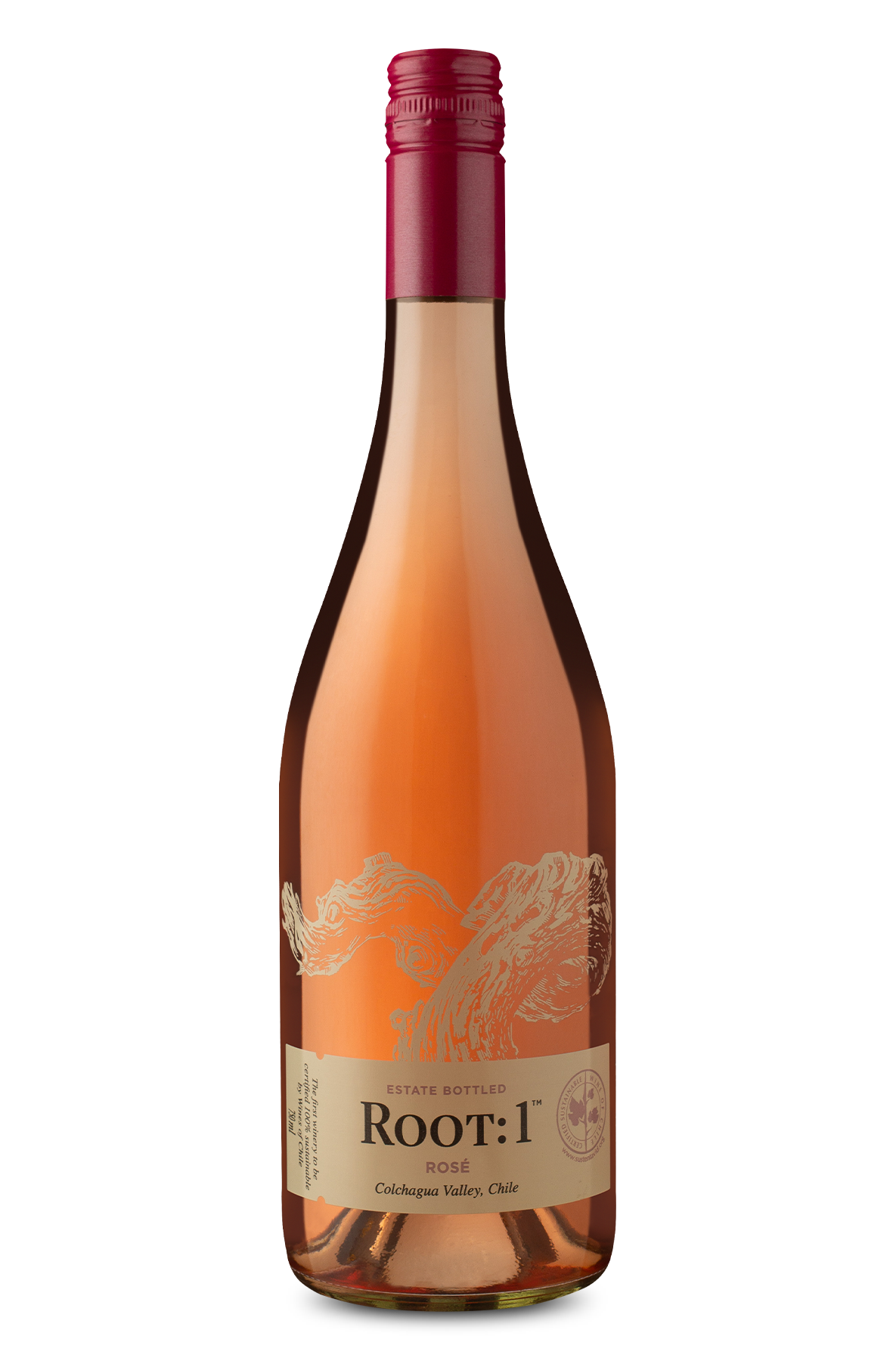Root: 1 D.O. Valle De Colchagua Rosé 2022 - Wine | Wine