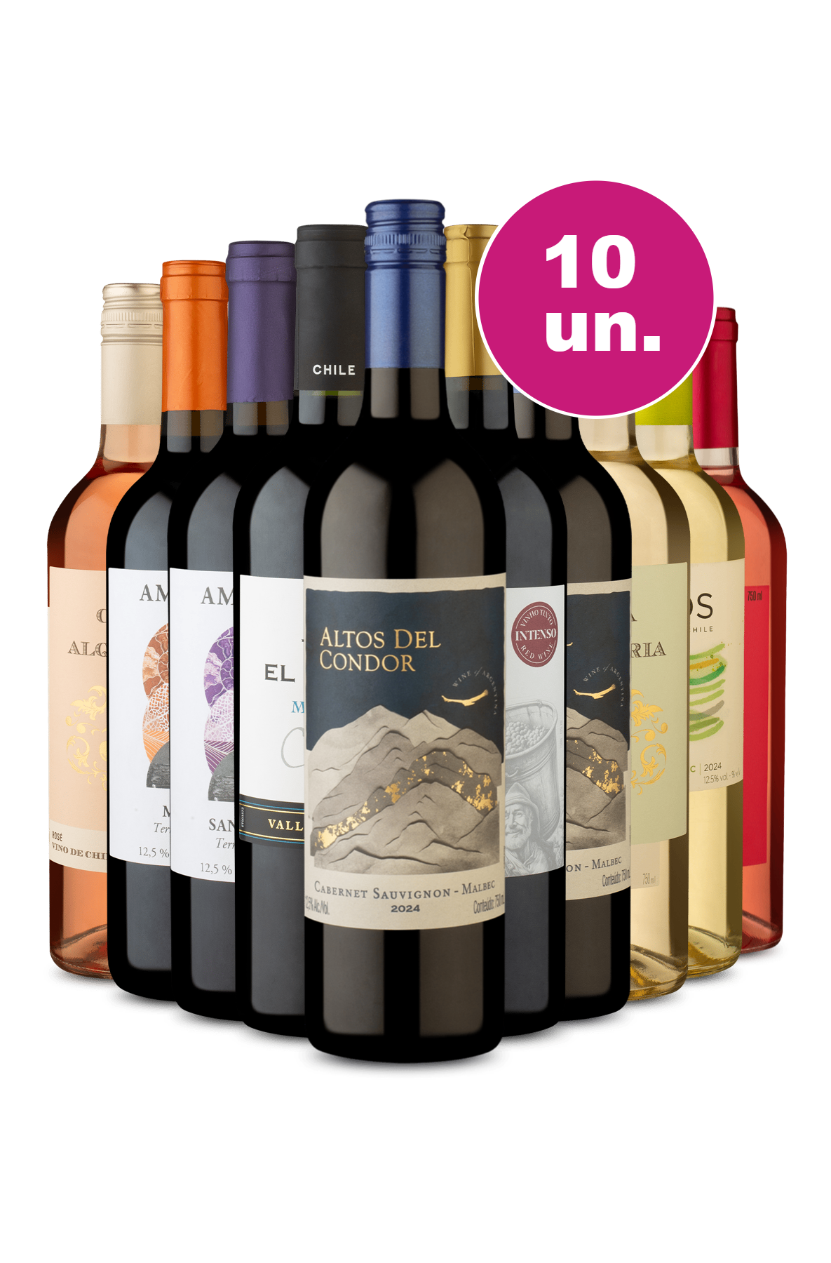 Kit 10 - R$21,90 por Garrafa - Oferta Flash IZ - Wine | Wine
