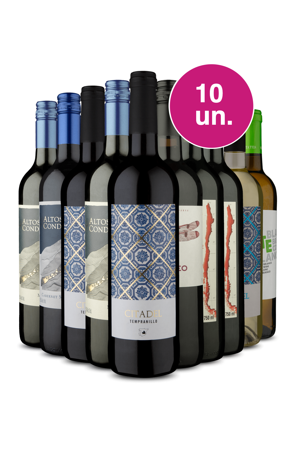 Kit 10 Campeões Best Sellers Wine Wine