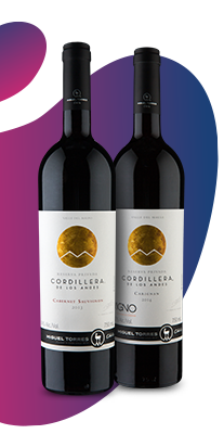 Seleção Singulares | Clube Wine | Wine.com.br