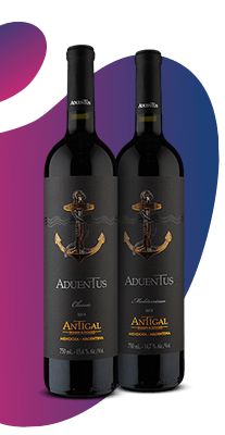 Seleção Singulares | Clube Wine | Wine.com.br