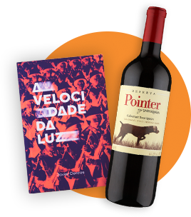 Livro A velocidade da luz de Javier Cercas