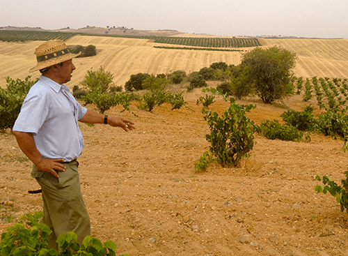 Hacieda Terra d’Uro