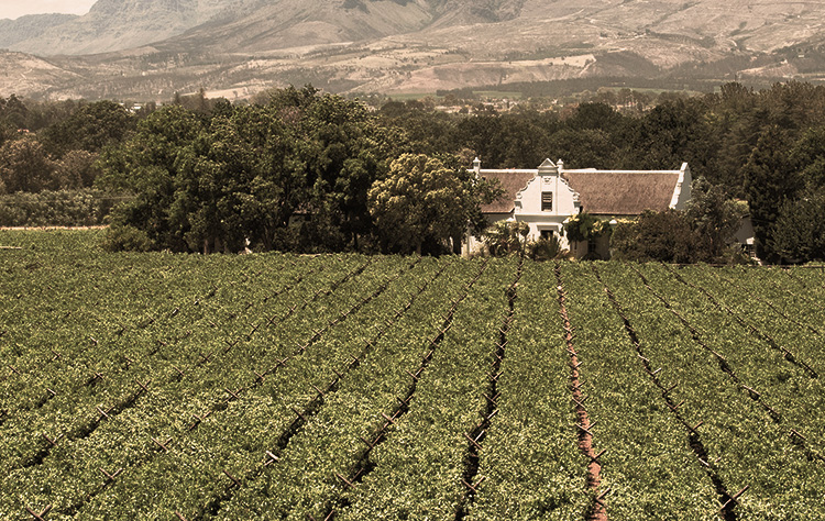 imagem da vinícola Nederburg 56 Hundred