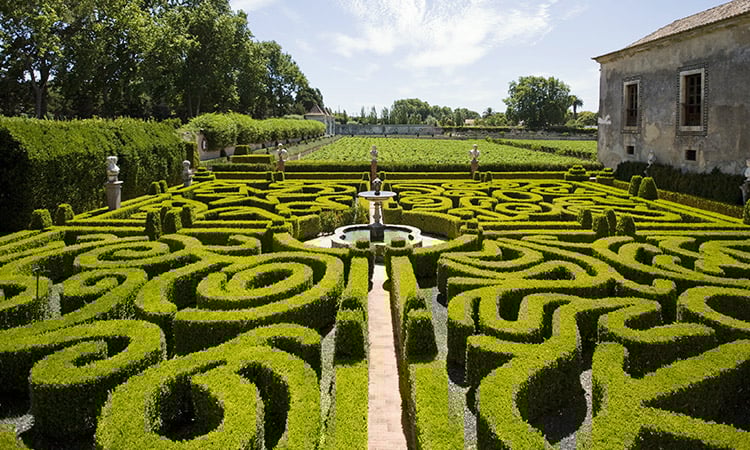 imagem da vinícola Quinta da Bacalhôa