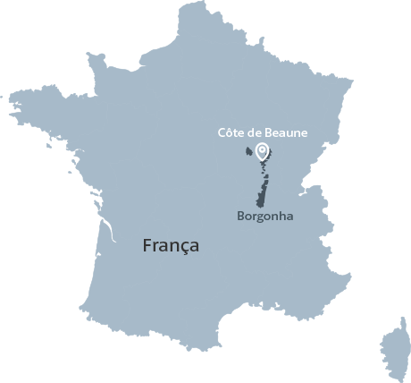 Mapa de Borgonha - França | Wine.com.br