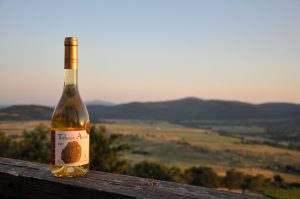 Tokaji Aszú