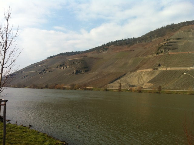 Mosel espelhando os vinhedos....
