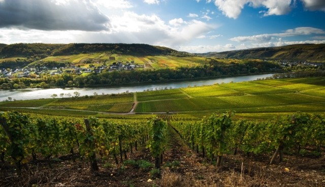 Finger-lakes