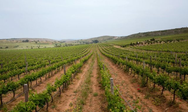 Turquia