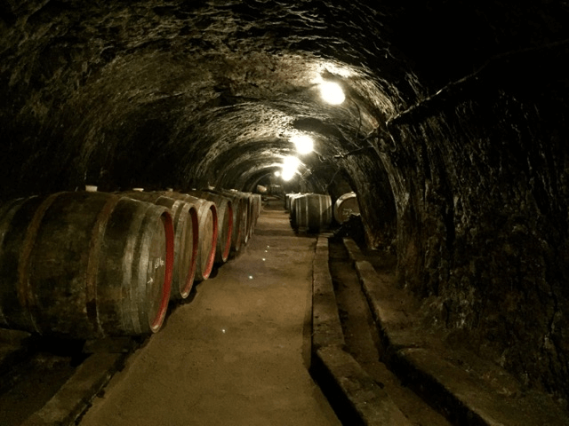Barris de vinhos