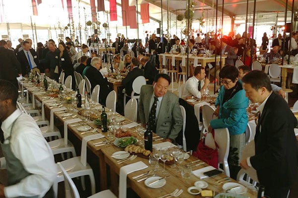 Diário do Winehunter