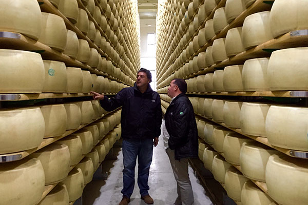 Parmigiano Reggiano na Itália