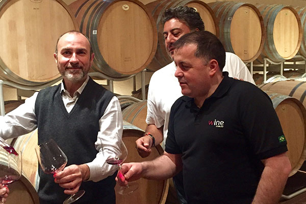 Vinhos italianos na vinícola Cecchi
