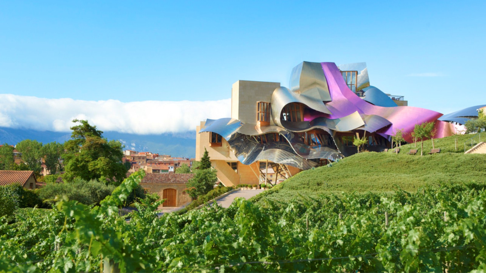 Marqués de Riscal - Restaurantes em meio a vinhedos