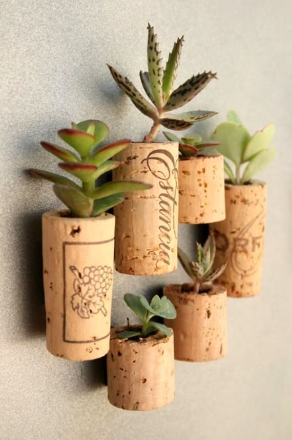 Rolha como vasinho de planta