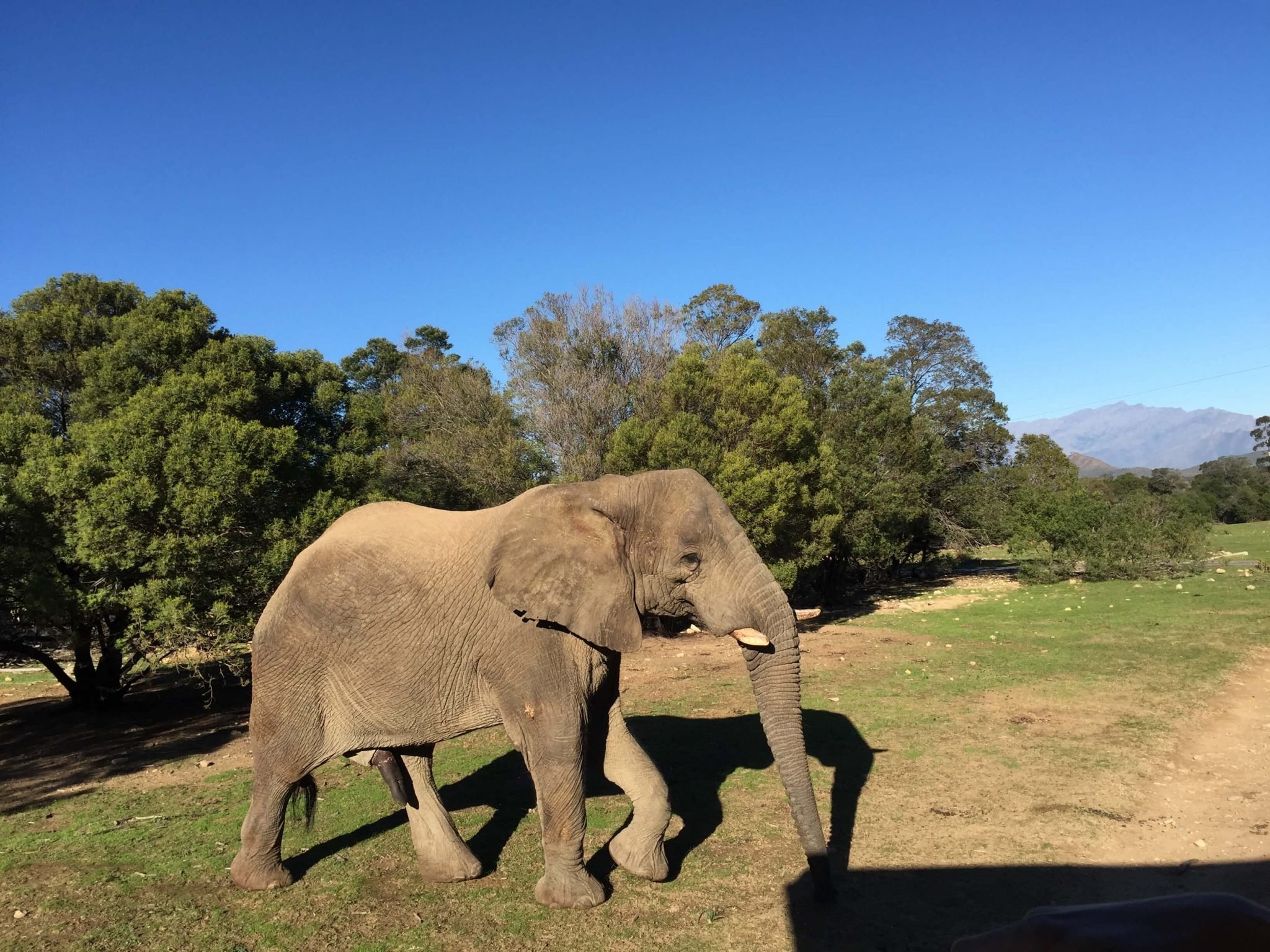 Diário do Winehunter