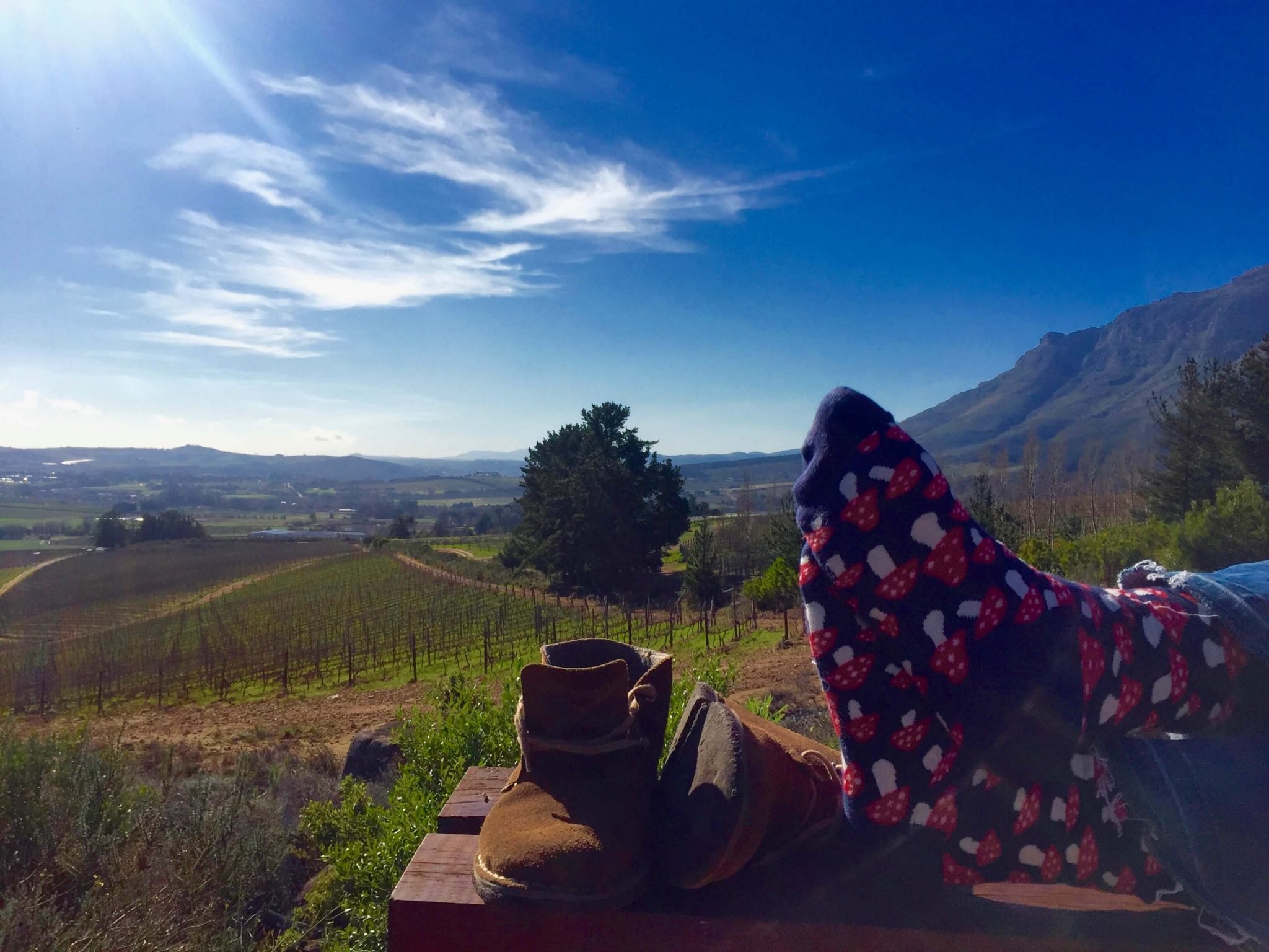 Diário do Winehunter