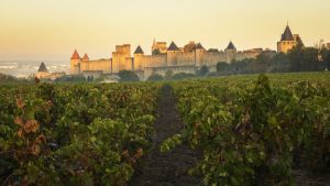 Languedoc - França | Winepedia