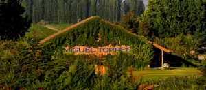 Miguel Torres e seu compromisso sustentável | Winepedia