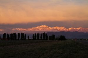 Argentina: uma tradição do Novo Mundo | Winepedia