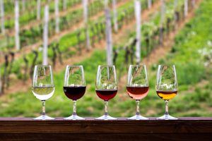 Foto com cinco taças não totalmente cheias de vinhos de tipos diferentes: tintos, branco e rosé. Ao fundo um parreiral.
