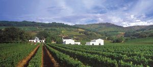 Muito mais que vinícola | Winepedia